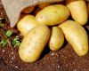 Independent review to allow the import of washed and ready to eat potatoes into Tasmania from South Australia
