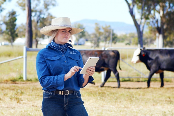 Lady in paddock with tablet