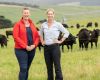 Labor plants new election policy in effort to win agriculture