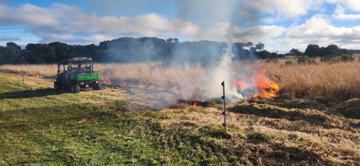 A controlled burn takes place on a Tasmanian property as part of a winter fuel reduction effort. Picture by Samuel Tracy.