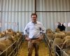 Labor keeps live sheep export panel report secret
