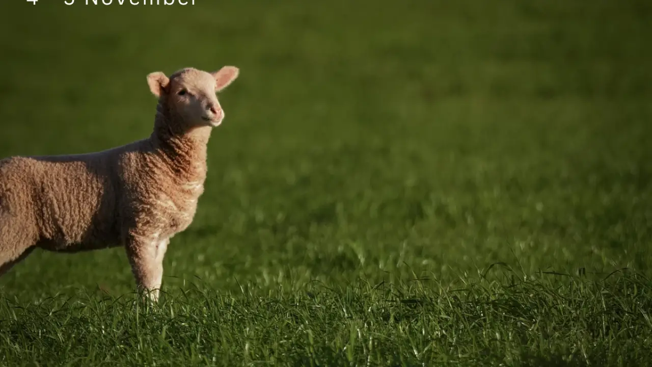 LSS Handling Workshop Linked In