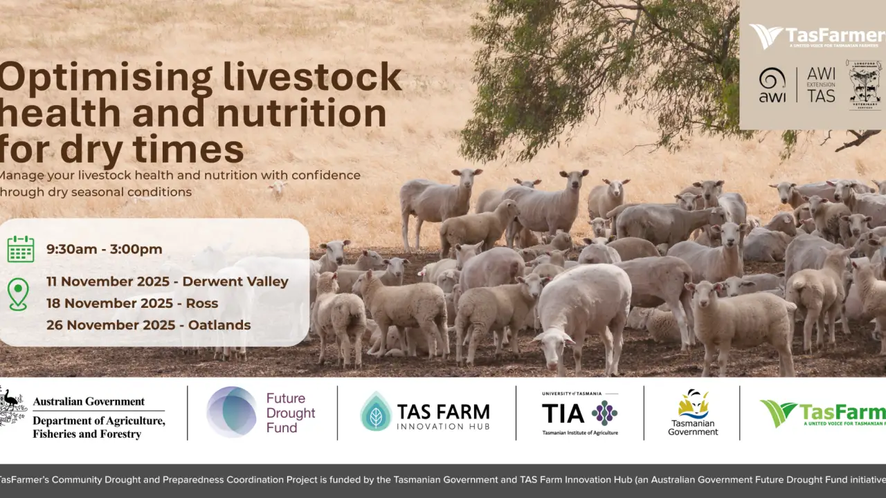 Optimising livestock health and nutrition for dry times