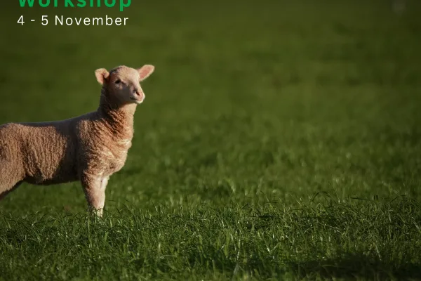 LSS Handling Workshop Linked In