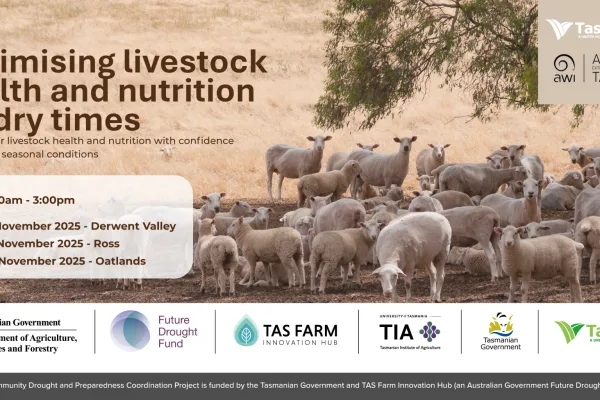 Optimising livestock health and nutrition for dry times